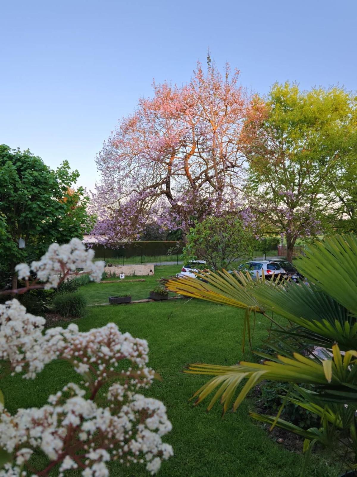Apartment A 10mn De Dans Ancienne Etable Vichy